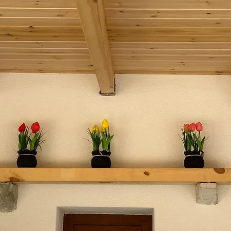 Dom wakacyjny Ana & Angelo House Himare *